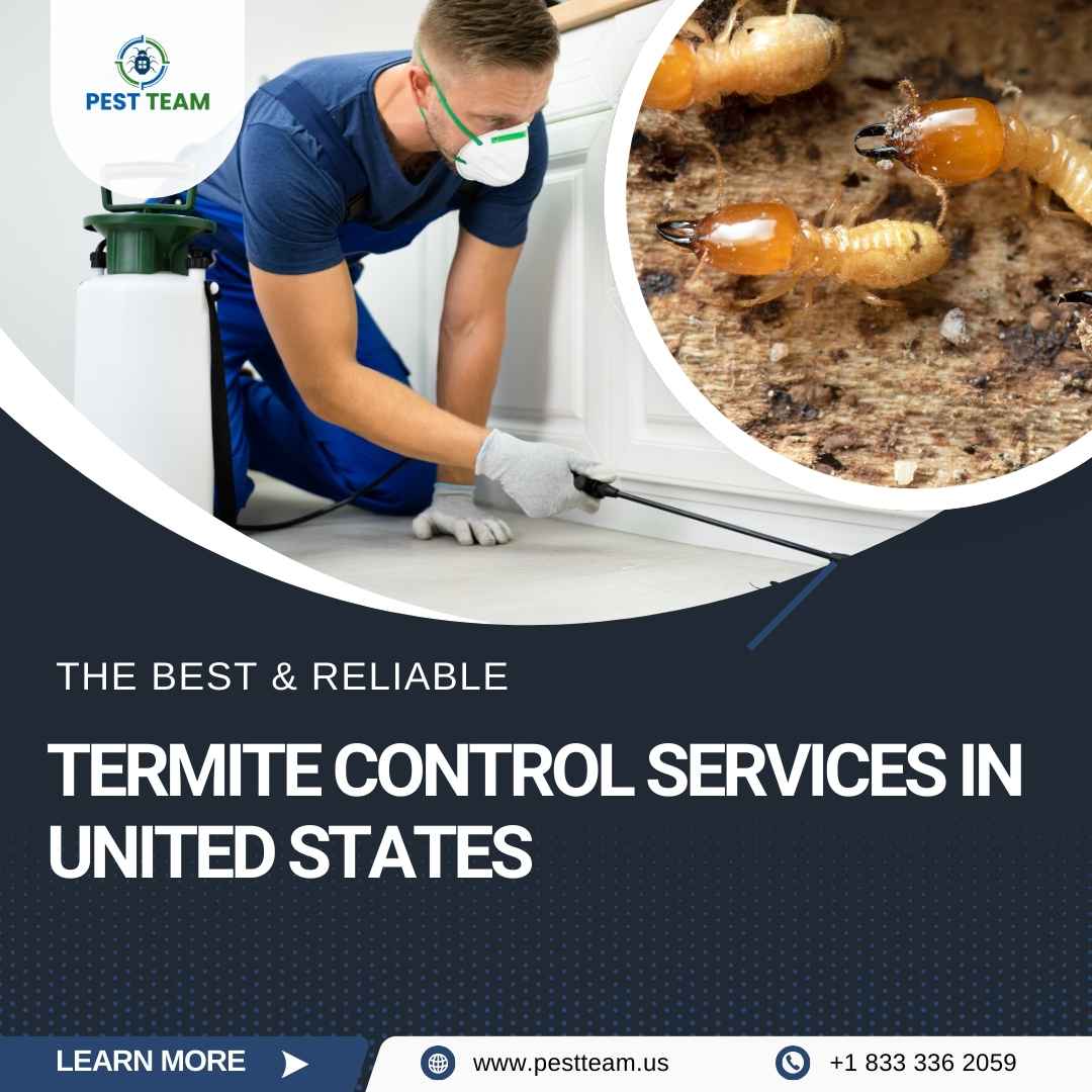 Termite Control Services In United States